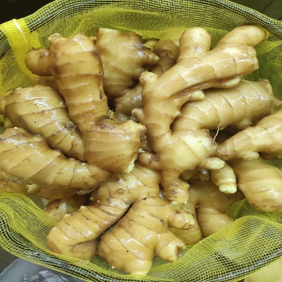 Paniers de bonne qualité au gingembre frais chinois jaune