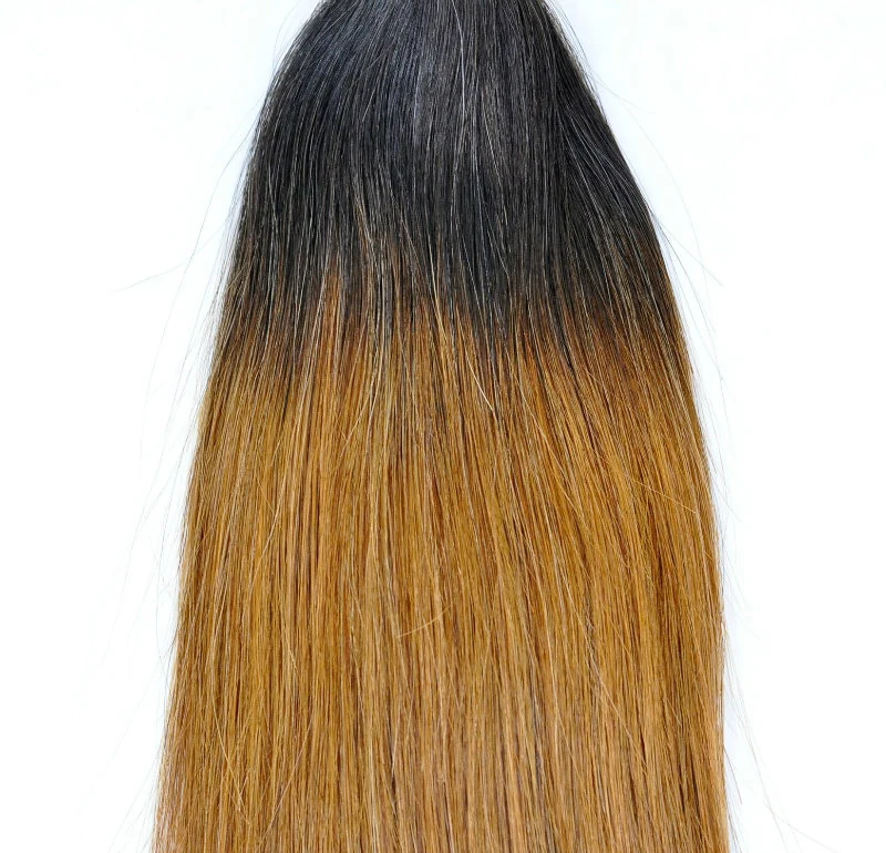 Brazilian Ombre Remy Human Hair Weft at Wholesale/Supplier Price with SGS Approved (Straight #T1b/30)