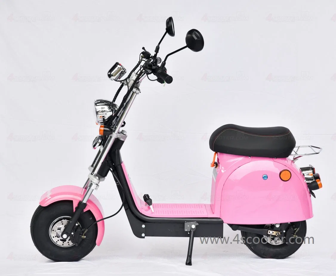 Best Selling New 48V 500W 1000W Electric Scooters Mini Citycoco Europe Sxt Charger