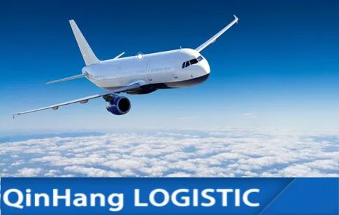 Professional FBA Amazon Warehouse DDP Serviço de Transporte aéreo para os EUA/Europa E outro endereço de Shenzhen Yiwu Shanghai China