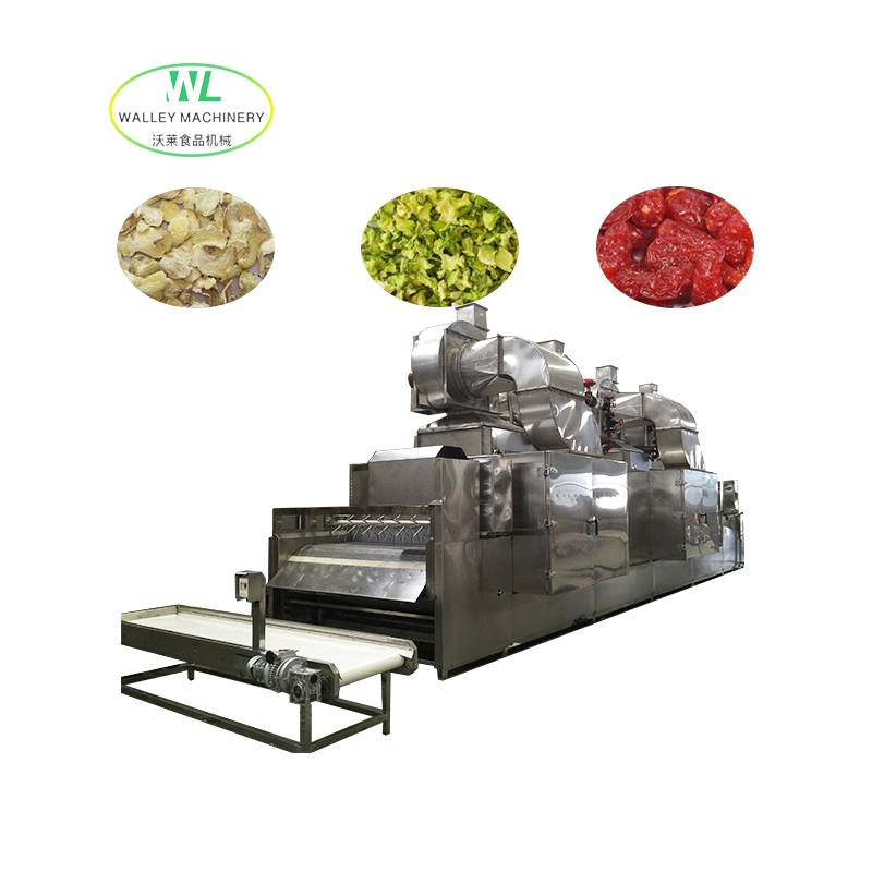 Hotsell Industrial Continuous Conveyor Food Dehydrator Machine Drying Equipment