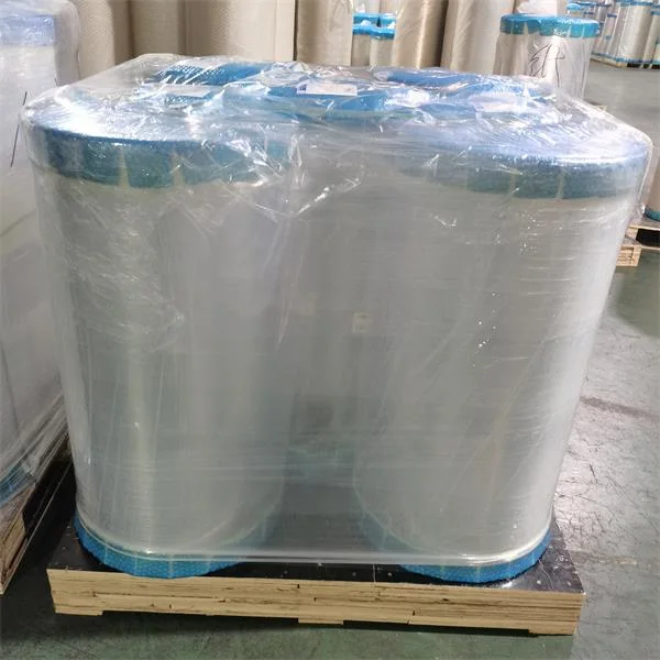 Laminated Film& VMCPP Film & Packaging Roll & Vmbopp Film China Supplier