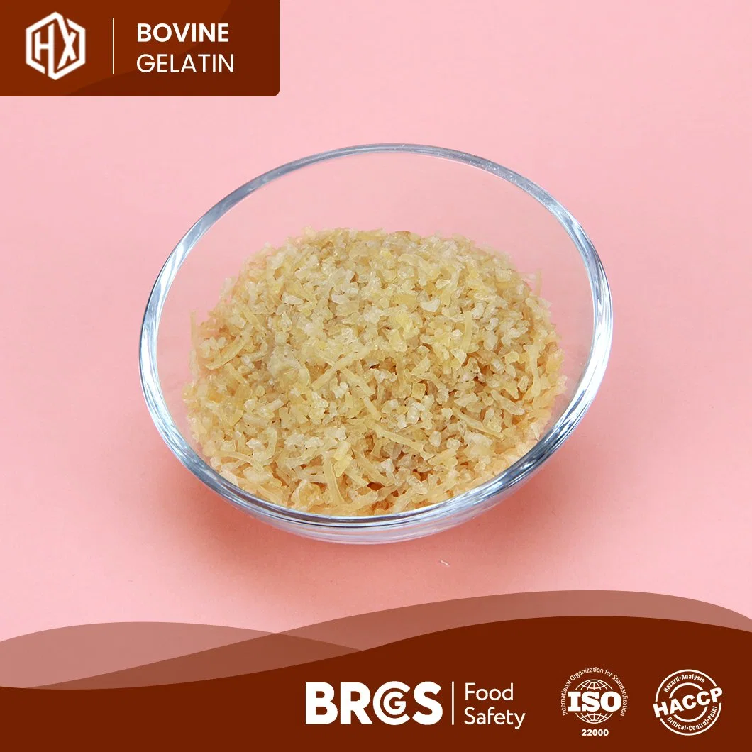 Haoxiang High-Quality Food Bovine Skin Gelatin 150 Bloom High-Purity Powdered Bovine Skin Gelatin China Supplier Sample Available Medical Bovine Skin Gelatin