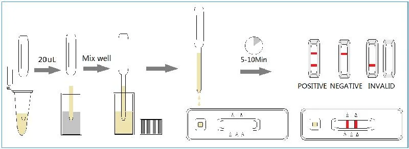 Fip/ Fcov Feline Infectious Peritonitis/Coron Virus Antibody Diagnostic Test Kit