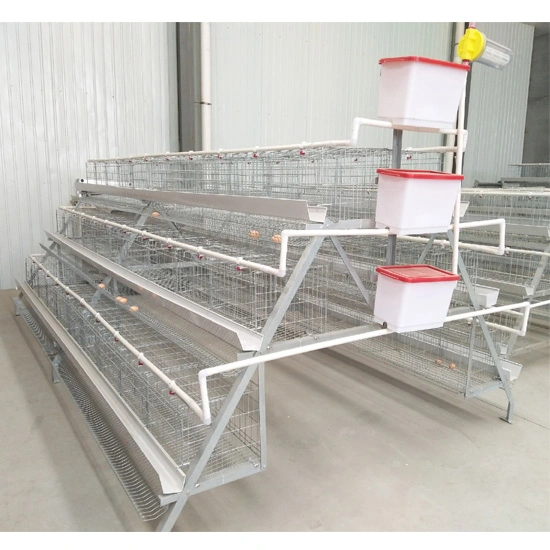 A Type Hot DIP Galvanized Battery Layer Chicken Cage Poultry Farm