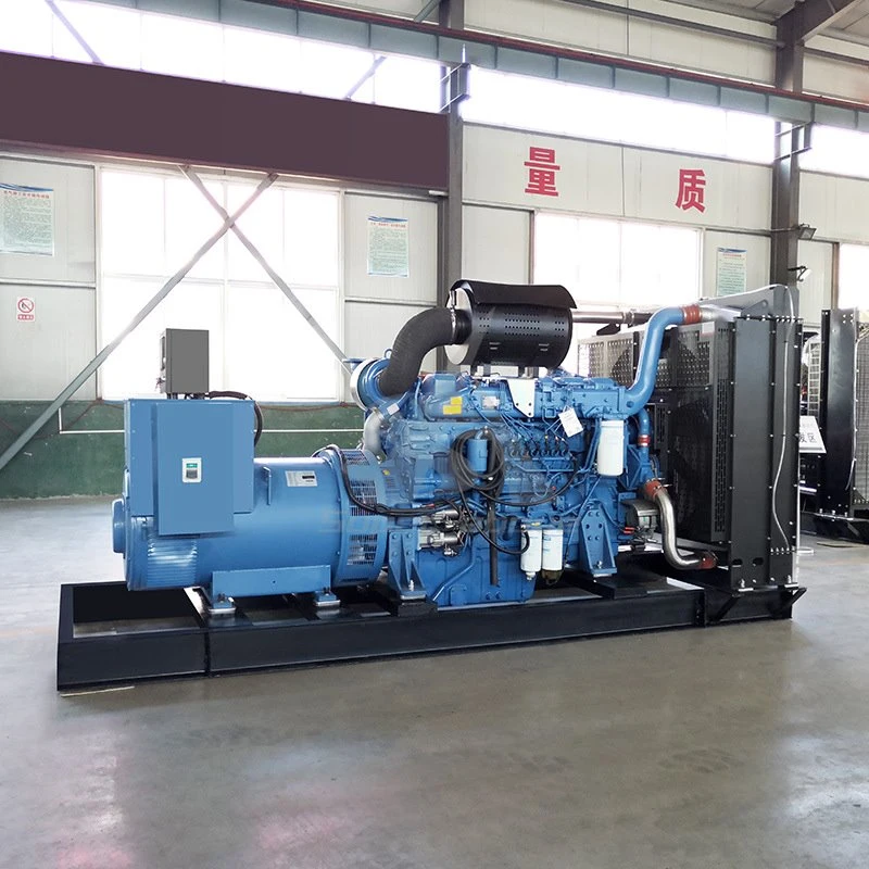 Mtu Diesel Generator with 250kw Power