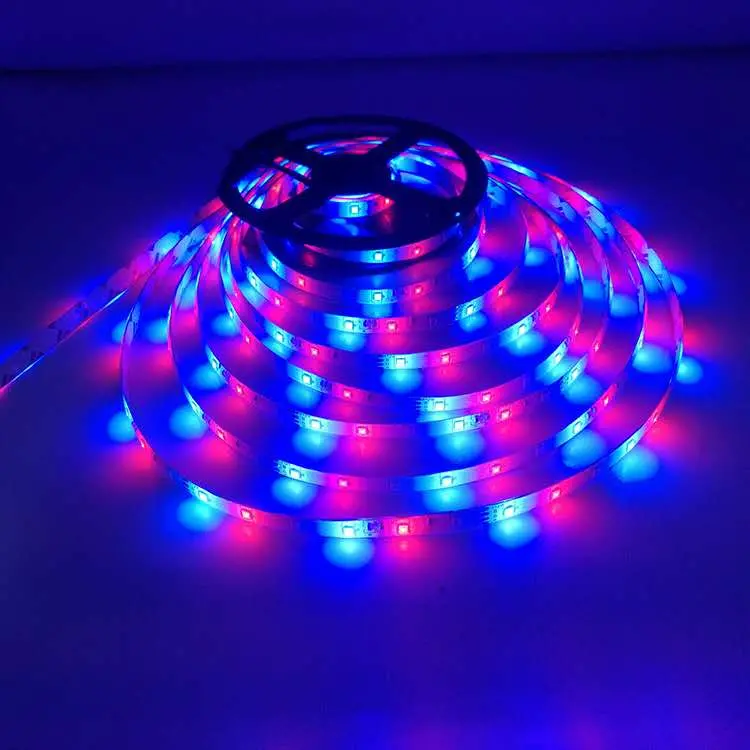 Wholesale/Supplier 5m RGB LED Strip Light 3528 SMD 24/44 Key Remote 12V DC Power Supply Work Decoration Light