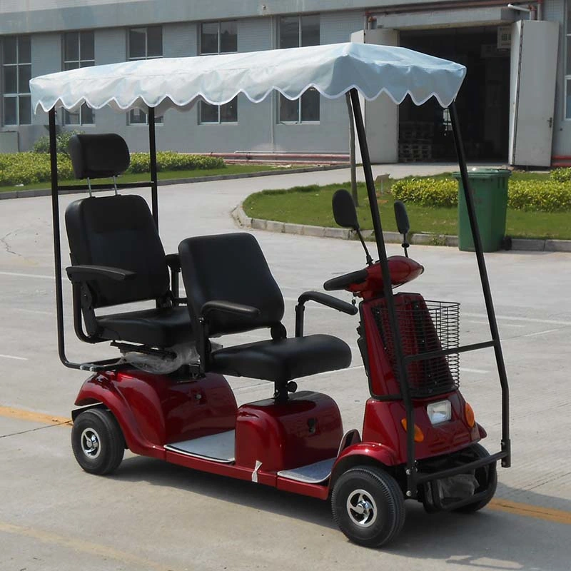 CE Approved Double-Seat Electric-Scooter (DL24800-4)