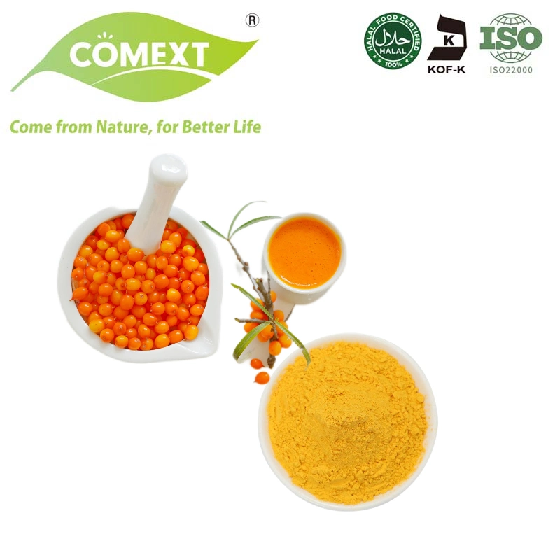 Comext Best Price Pure Organic 10% Flavone Powder Seabuckthorn Fruit Seabuckthorn Extract