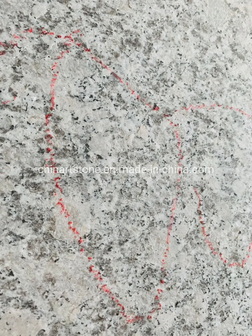 Grey White G602/G603/G623 China Granite for Wall and Floor Tile