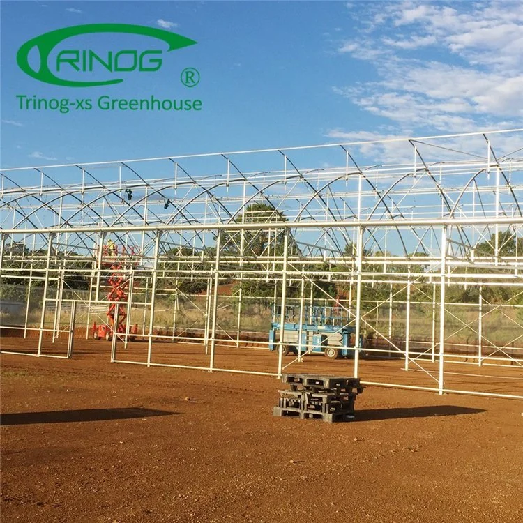 Commercial Film High Tunnel Multi-span Greenhouse