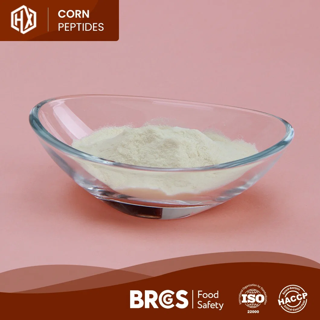 Haoxiang Food Grade 100% Hydrolyzed Corn Peptide Wholesale/Supplier Customized Private Label Cornbean Collagen Peptide Powder for Keeping Moisture and Anti-Aging