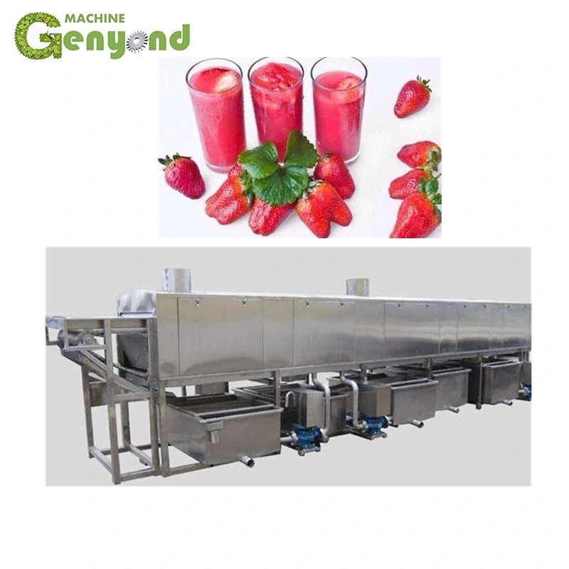 Small Scale Juice Processing Equipment Juice Prodution Line