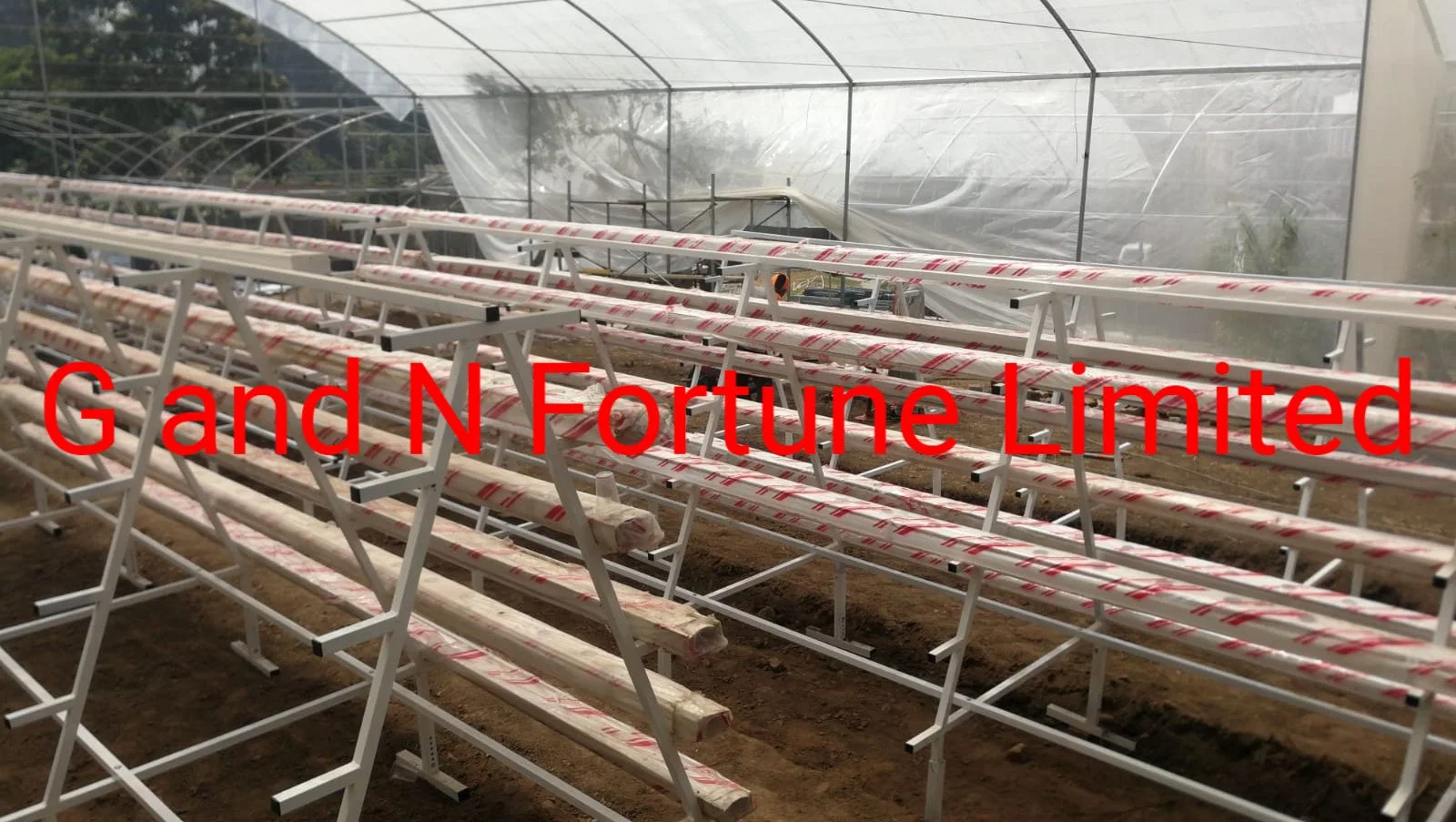 Ecological Saving Fertilizer and Water Hydroponics Aquaponics and Aeroponics for High quality/High cost performance Vegetable Production