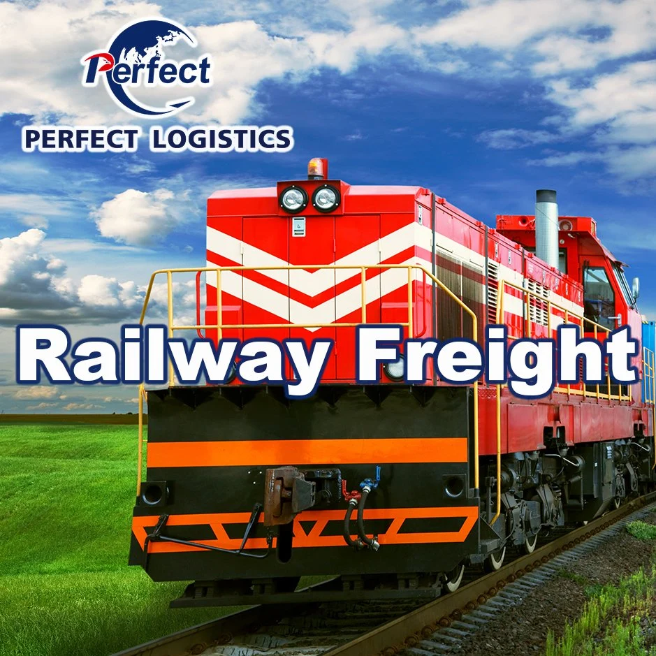 Professional Air Freight Express Logistics Services From China to World DHL/TNT/UPS/FedEx