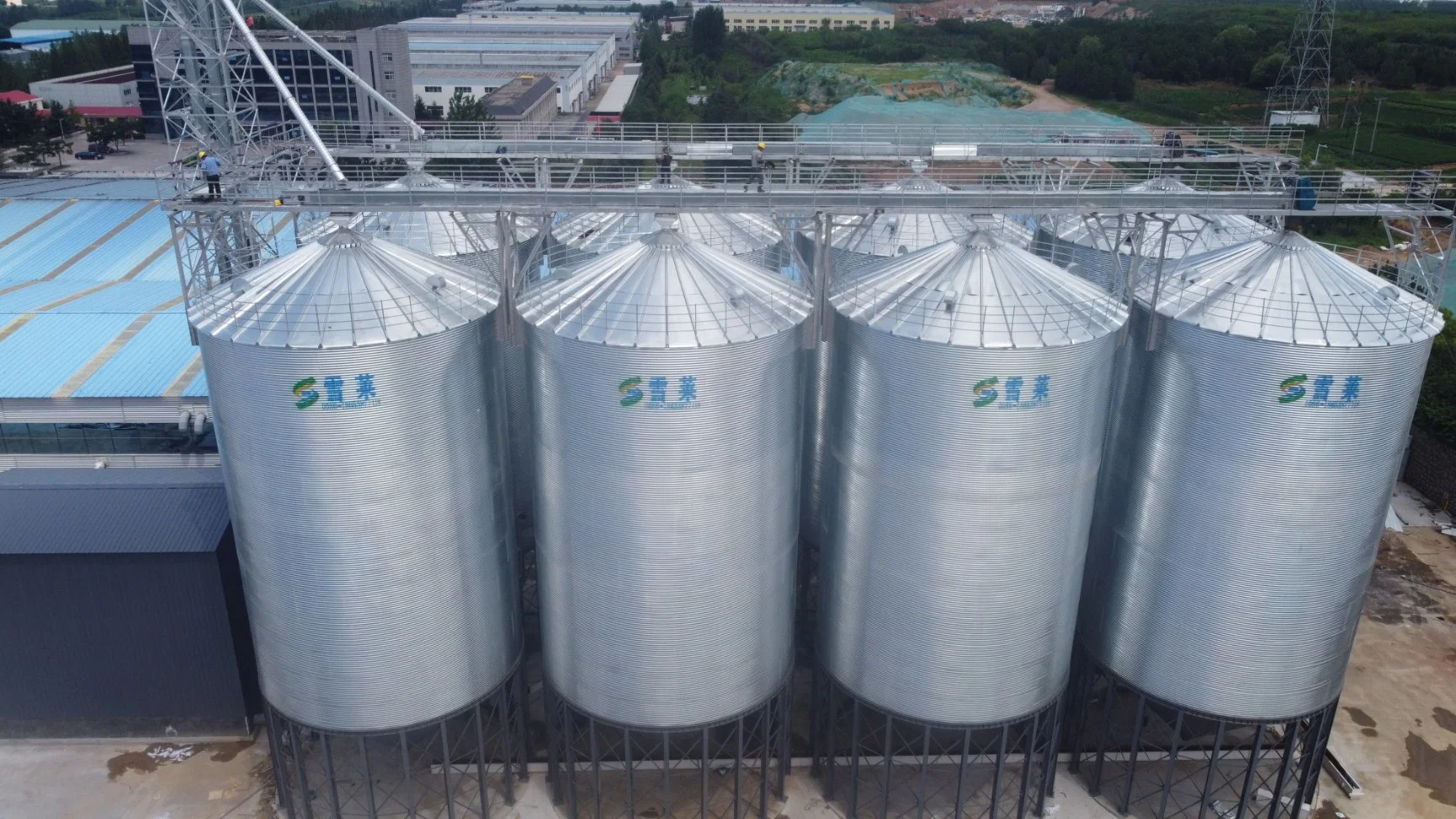 Tierfutter Silos Getreideweizen Mais Lagerung Verzinkter Stahl Silos Zum Verkauf