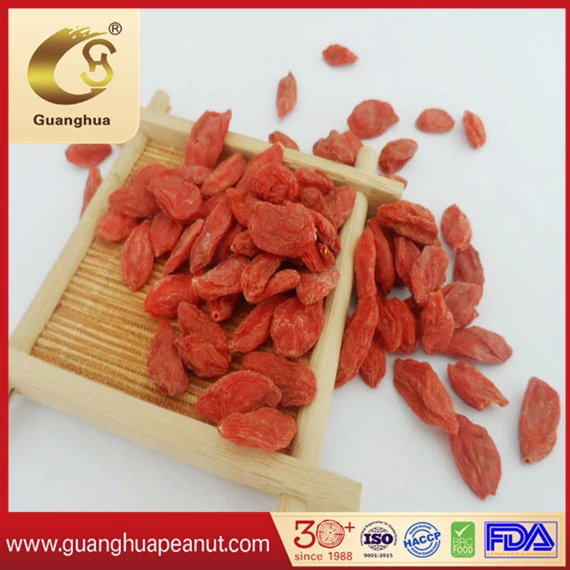 The Best Dried Goji Berry with Health and Good Quality