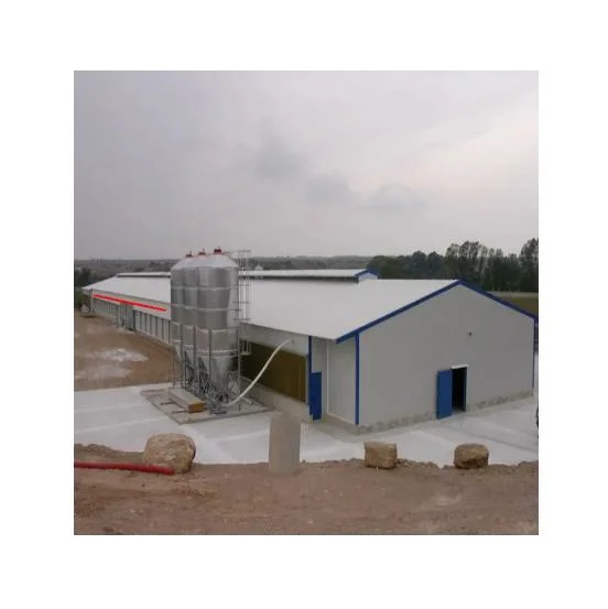 Factory Galvanized Manufacturing and Processing of Steel Poultry Houses