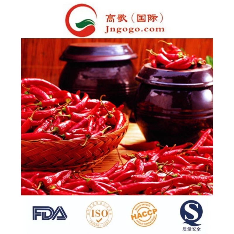 Factory Directly Sale Dry Hot Chili Yidu with Best Quality