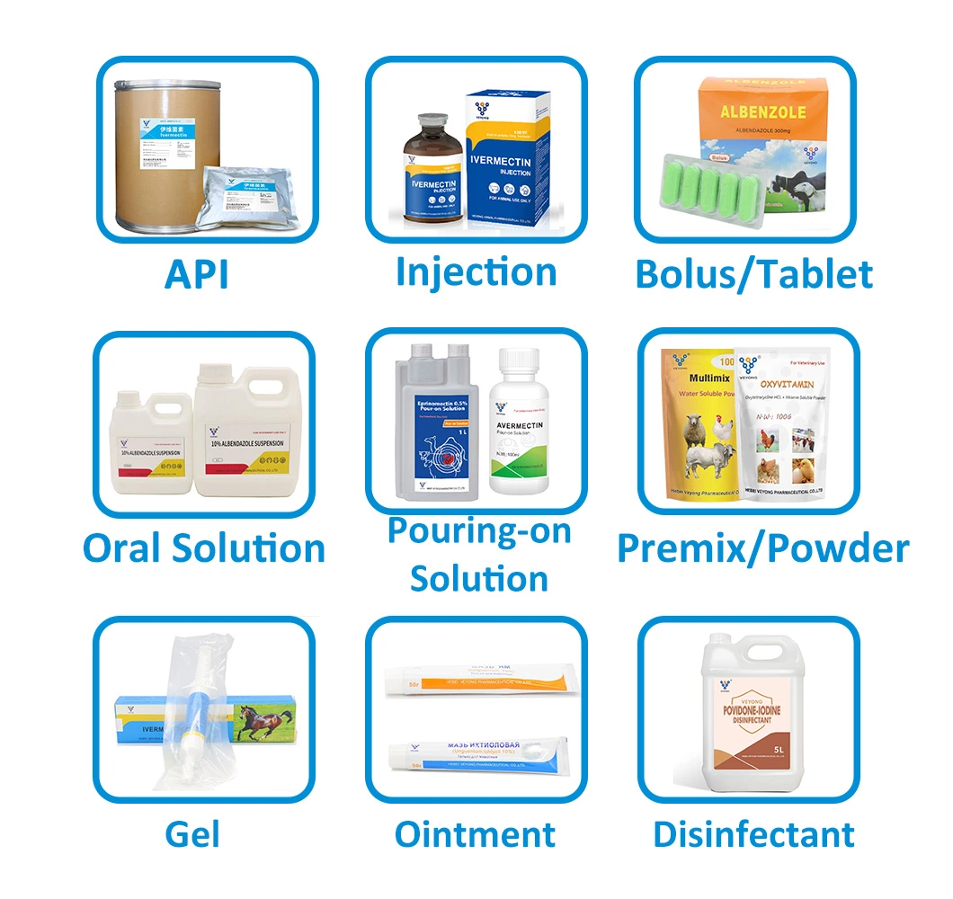 Veterinary Drug Factory Price Gentamycin Sulphate Injection 4% 10% Veterinary Antibiotic Medicine Price for Cattle Sheep