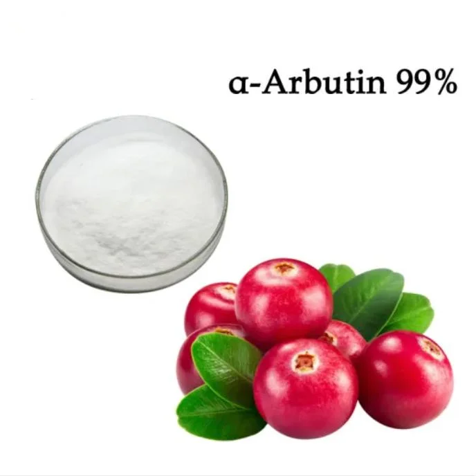 Natural Bearberry Extract version bêta de Matières Premières Cosmétiques arbutine poudre CAS 497-76-7