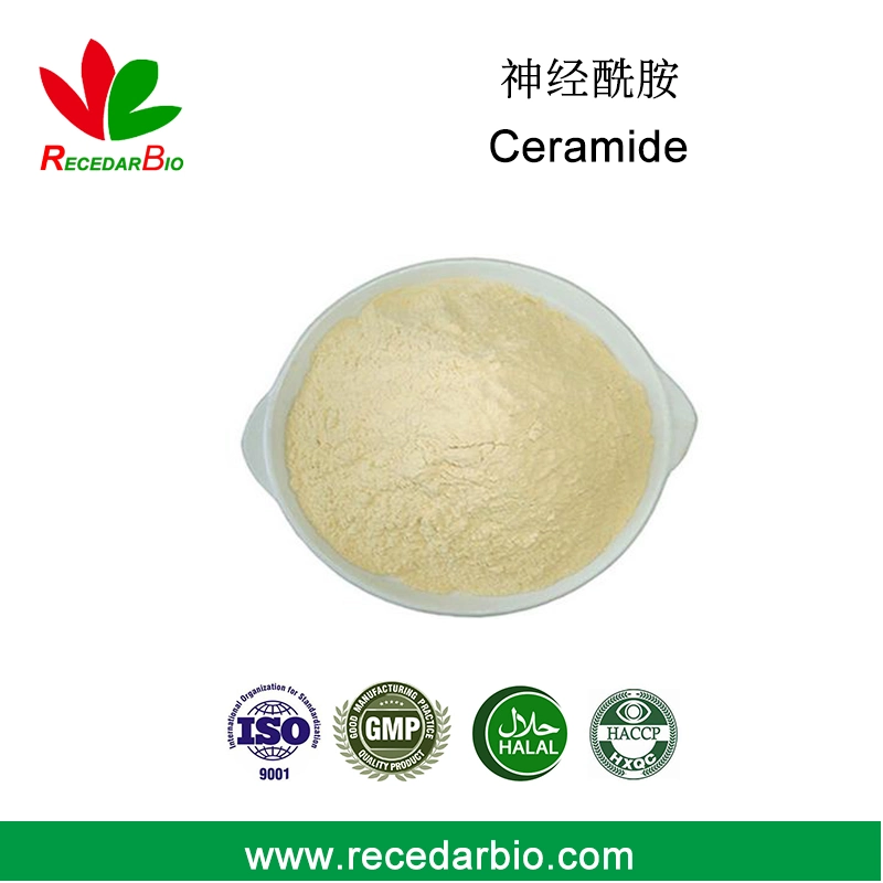 Cosmética natural en polvo planta Ceramide del salvado de arroz o nogal