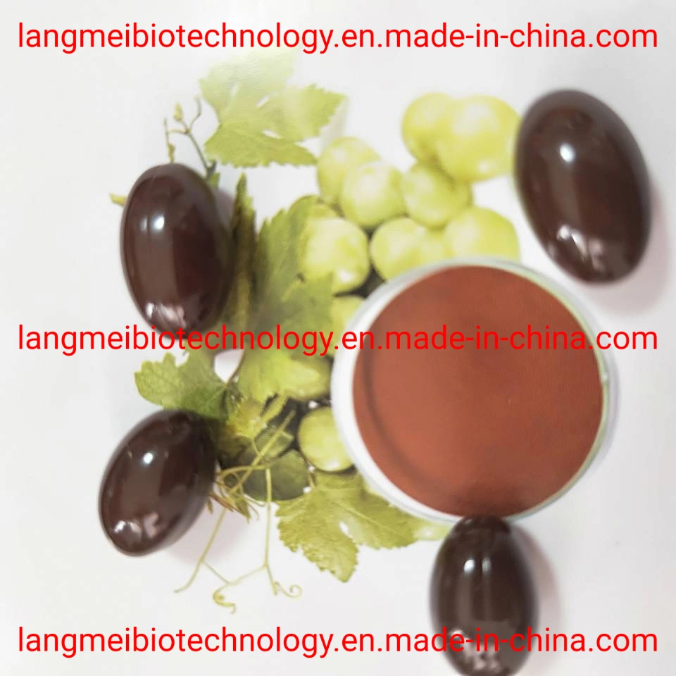 Antioxidant Supplement Grape Seed Extract Capsules in Beauty & Personal Care