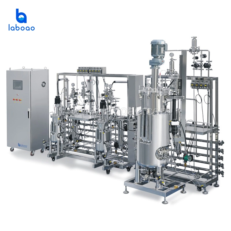 Laboao Tertiary Cell Culture Bioreactor Machine Stainless Steel Fermenter System