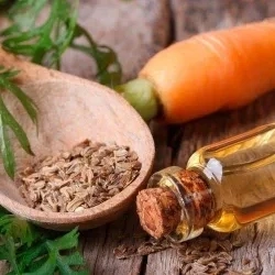 Natürliches Karottenkernöl 8015-88-1 Ätherisches Öl Duft Lebensmittelzusatzstoffe