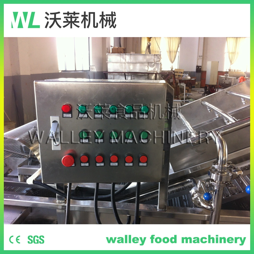 Customizing Multifunctional Bubble Washing Machine for Sale