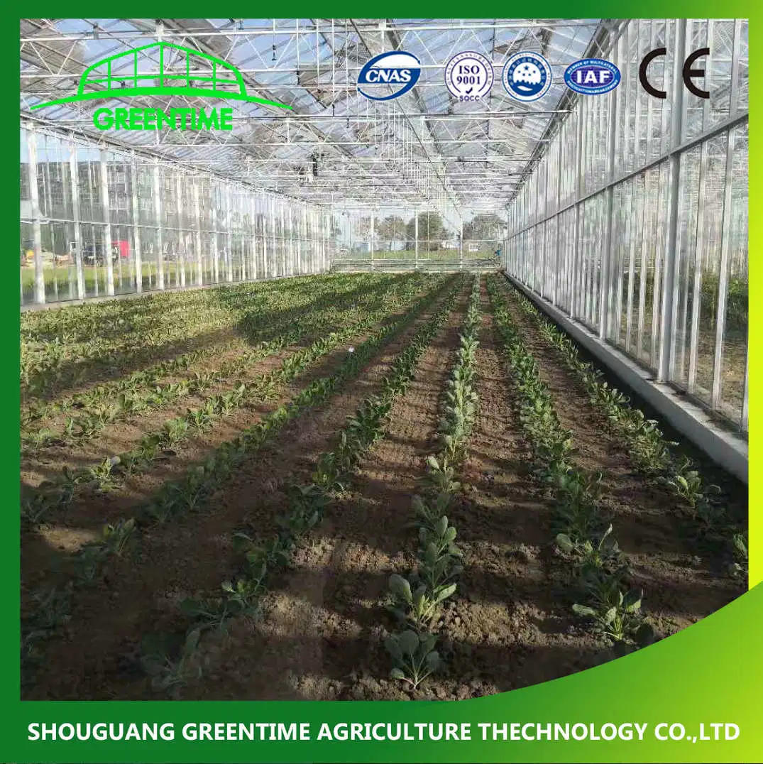 Commercial 6mm Polycarbonate Greenhouse with Growing System