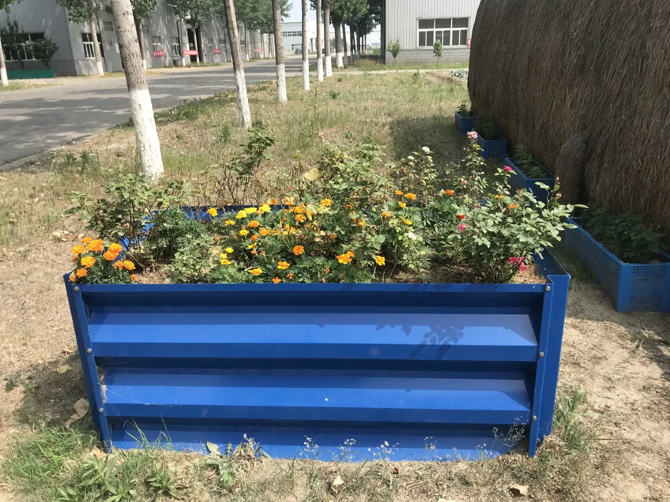 WMPB001 Caja de sembradora de acero Camas de plantación de jardín elevadas de metal fuerte Cama de jardín vegetal