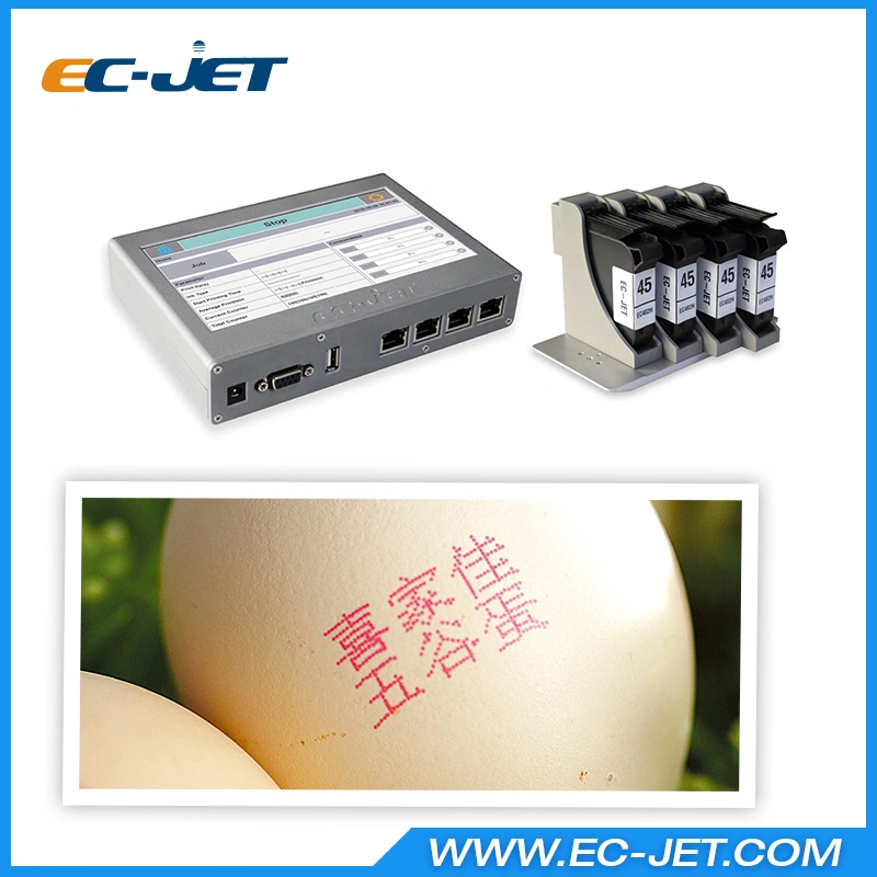 Cosmetic Product Inkjet Printer with Different Coloured Cartridge (ECH802)