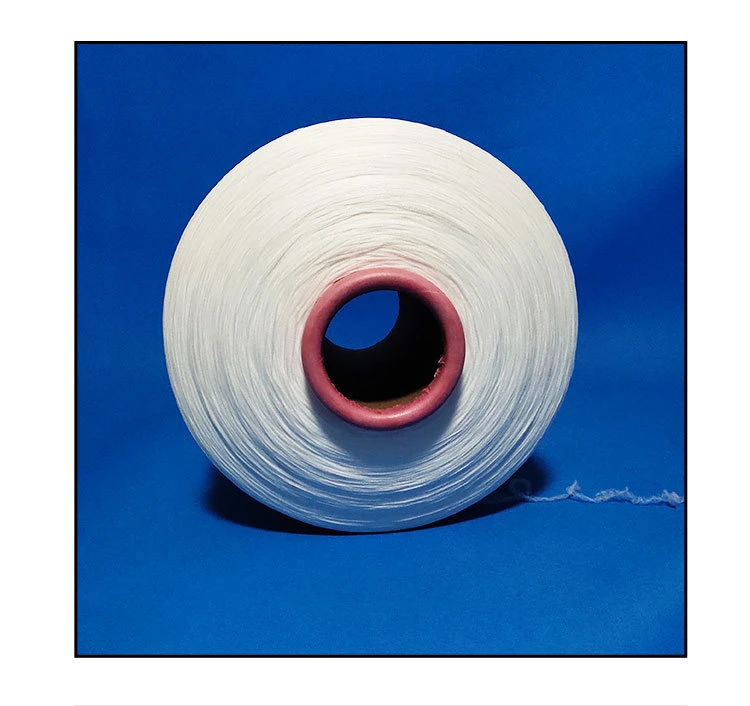 Ring Spun Polyester Set up Yarn with 400d/600d