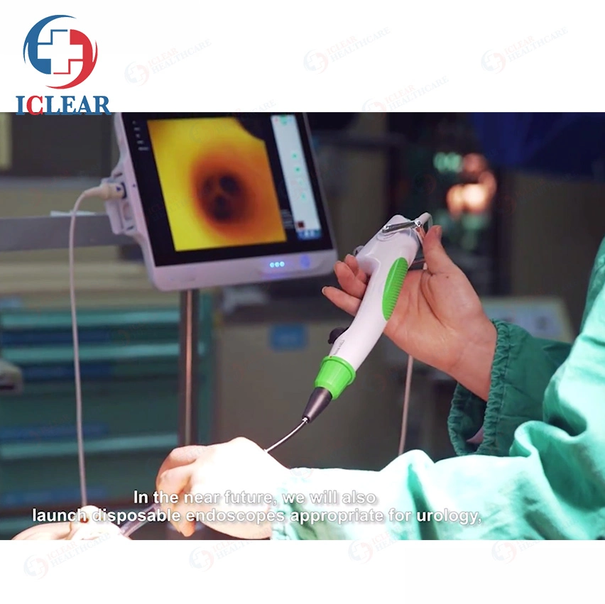 Portable Disposable Single-Use Flexible Video Endoscope