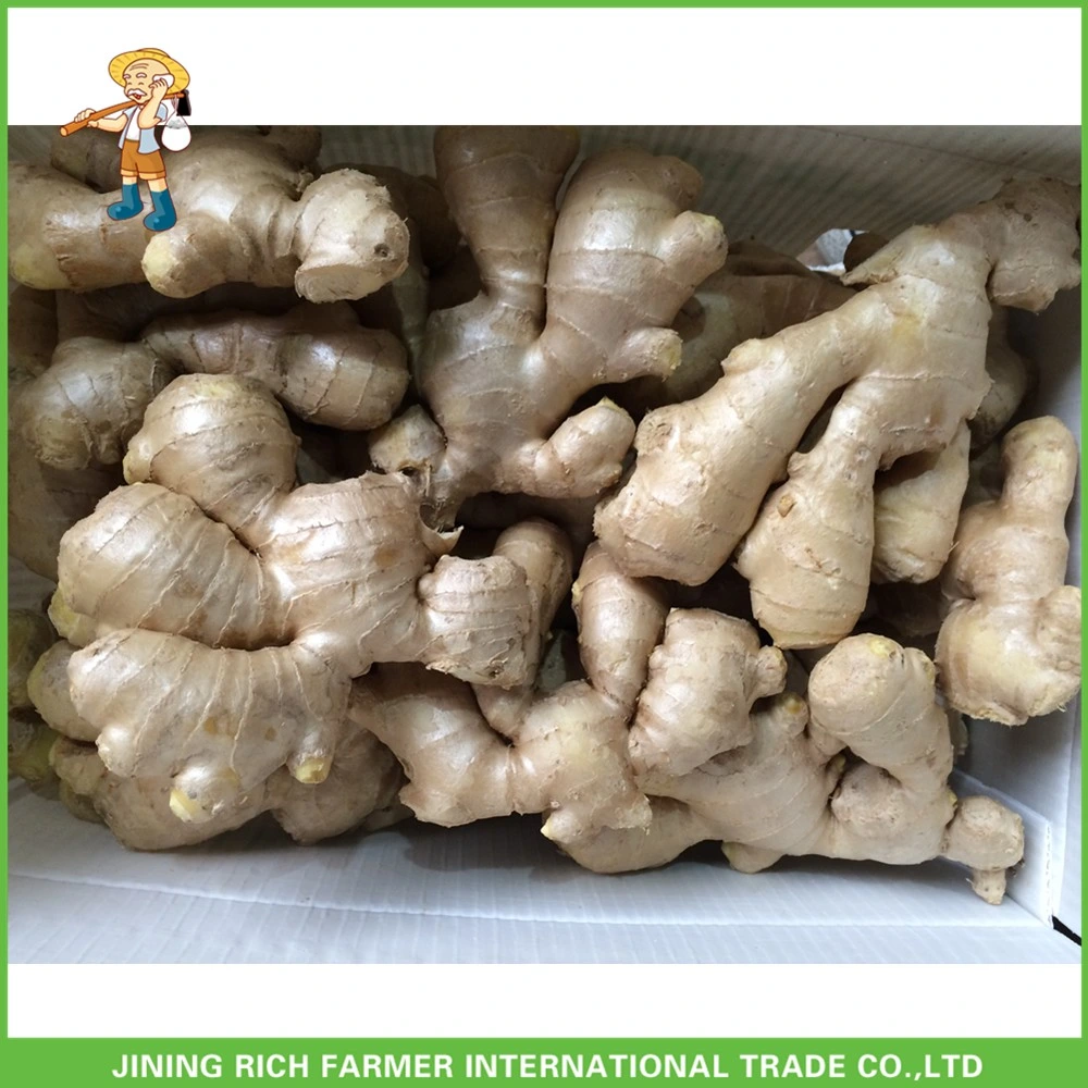 Good Quality Wholesale/Supplier Ginger Price Air Dry Ginger