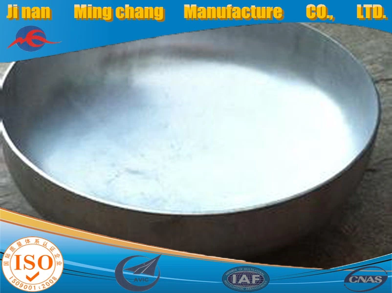 Stainless Steel Oval Head Cold Heading Forming