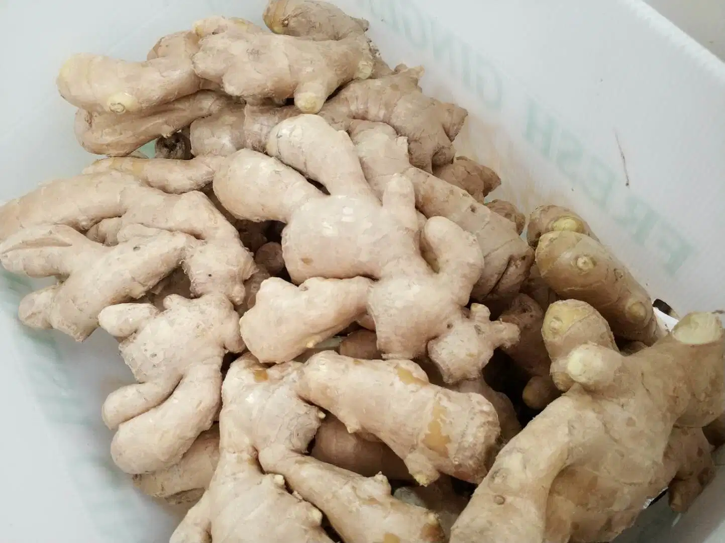 2021 High quality/High cost performance  Whole Air Dry Ginger