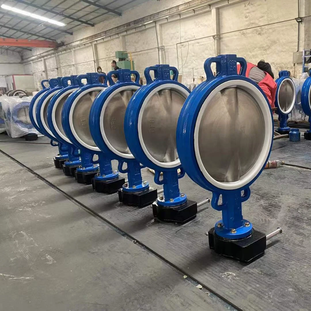 Hand Manual Pn10 Cast Iron Lug Type Manual Butterfly Valves