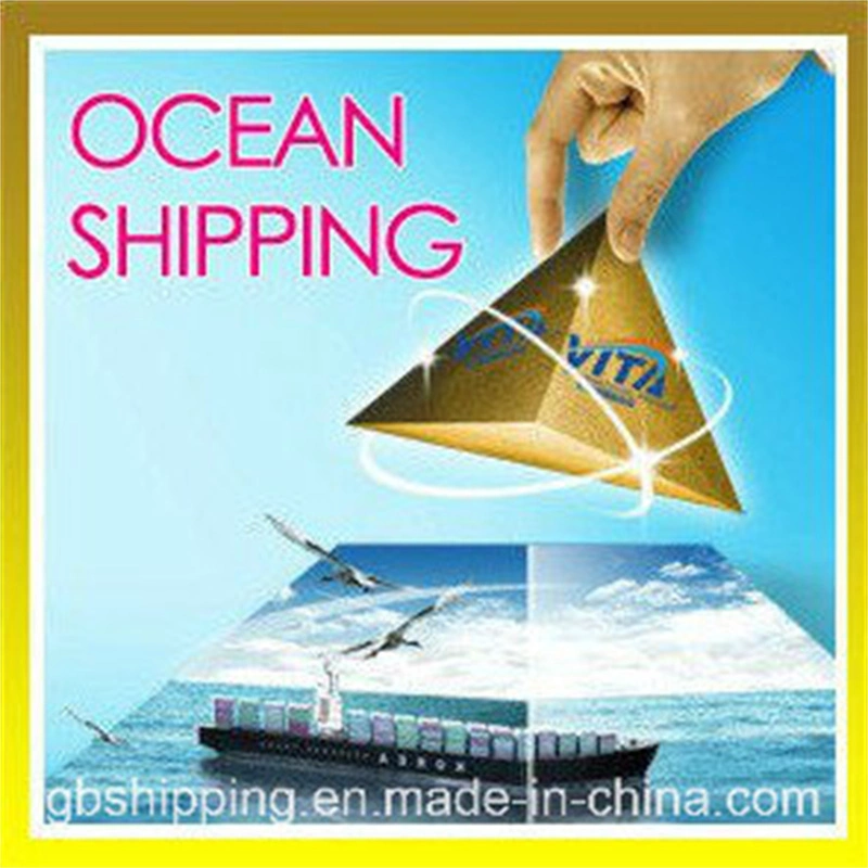 Best Shipping Service From China to Canada (Sea freight)