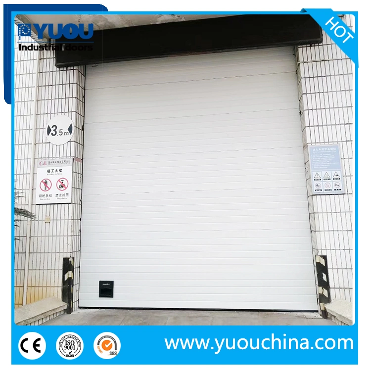 Industrial Automatic Electrical High Lifting Overhead Sectional Door for Cold Storage