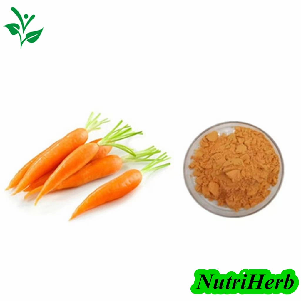 Natural 100% Pigment Carrot Extract بيتا كاروتين زيت كاروتين بيتا