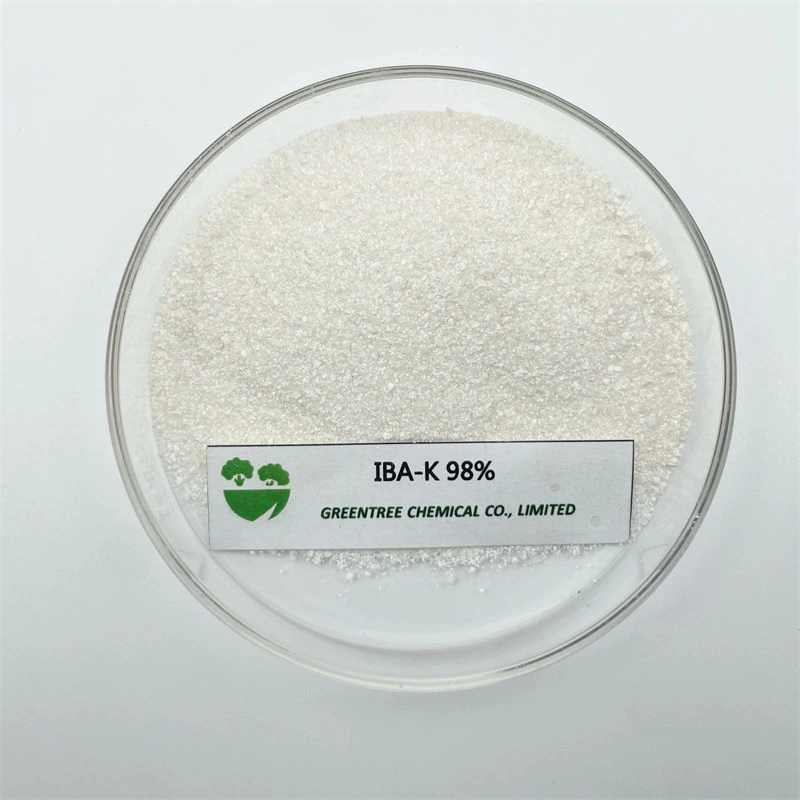 La AIA-K Indolebutyric sal de potasio del ácido 98%Tc regulador del crecimiento agrícola Nº CAS 60096-23-3