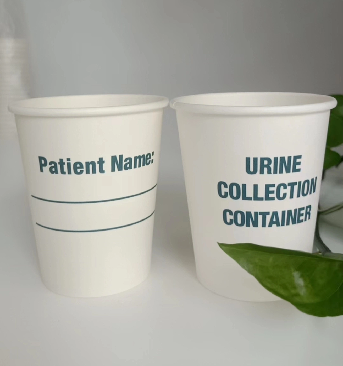 Good Quality Hospital Used Urine Collection Container 8oz 280g+18PE Single Wall Disposable Paper Cup/Mug