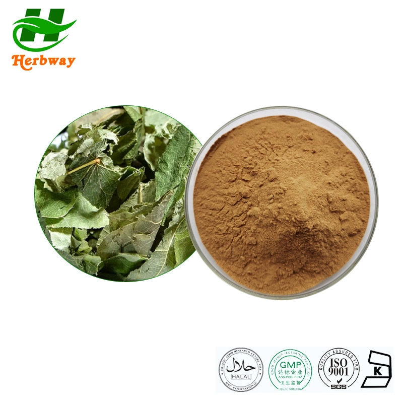 Factory Direct Sale Man's Health Pharmaceutical Chemical Epimedium Brevicornum Maxim Icariins Epimedium Extract Powder