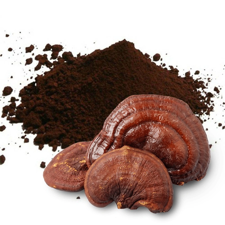 100% natural en polvo de esporas de hongos Reishi masiva del sistema inmunológico suplementos Booster