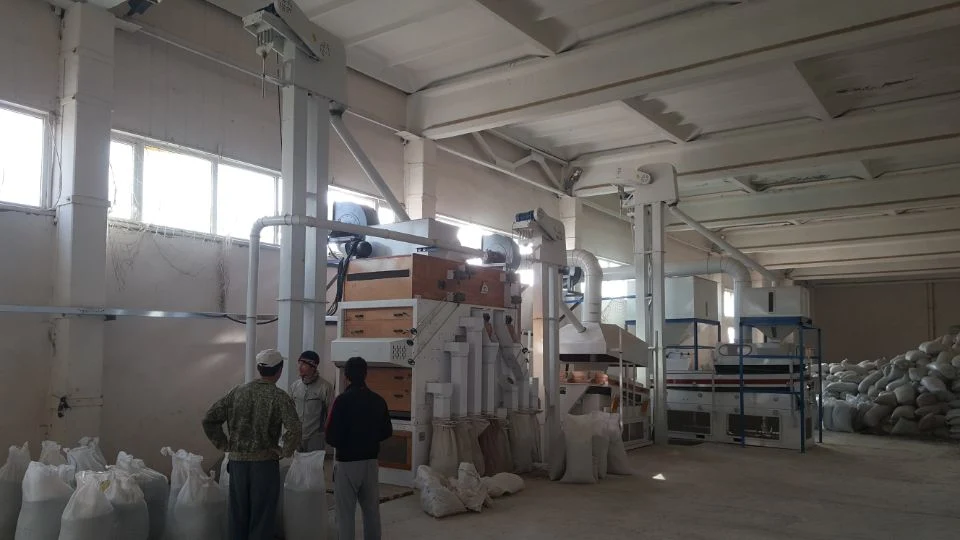 Sesame Mung Kidney Chickpea Grain Seed Bean Cleaning Processing Plant Machine