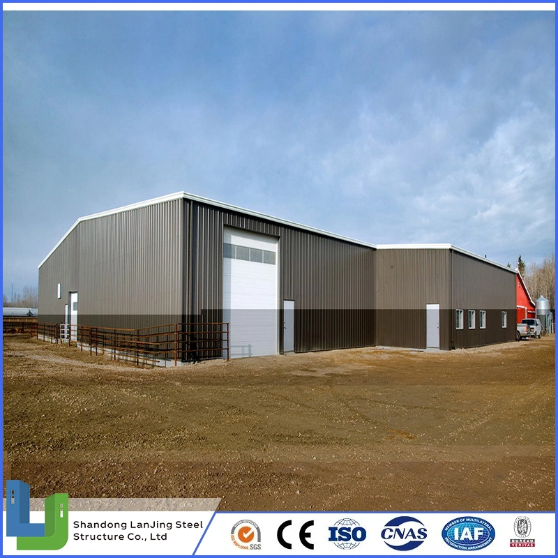 Industrial Lagge Span Metallic Building Construction Project for Steel Structure Building Supermarket