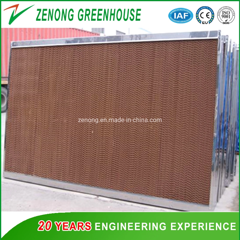 Water Cooling Pads/Evaporative Cooling Fan/Ventilation Fans/Exhausted Fan for Greenhouse/Livestock