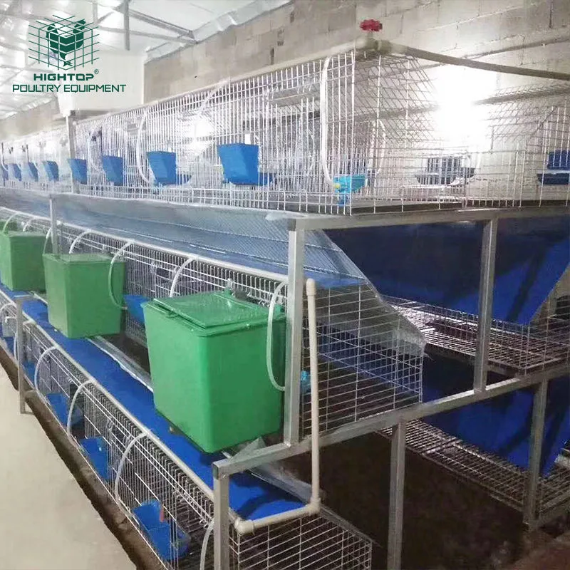 Commercial Outdoor Galvanized Wired Mesh Rabbit Breeding Cages For Philippine